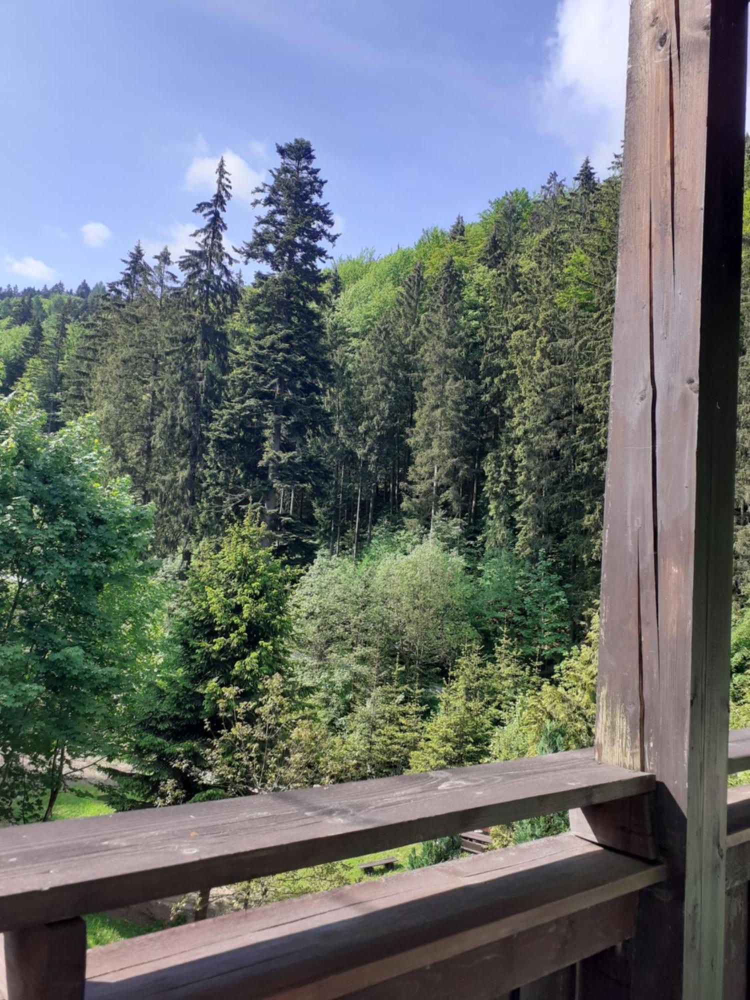 Apartamenty Kaskada Miedzygorze Rum bild